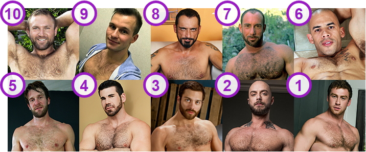 TOP 10 most Hottest gay Bears porn stars and cam boys